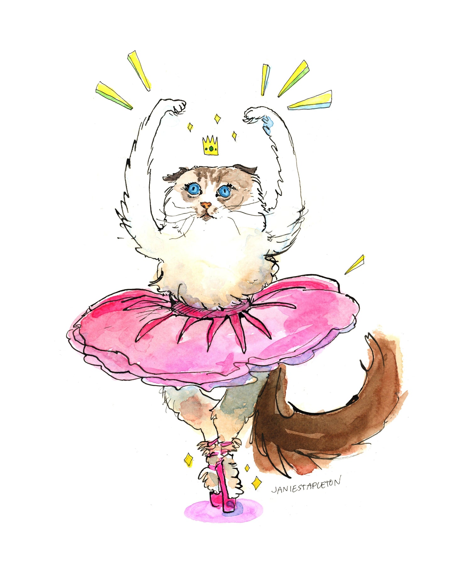 The Best Pet Portrait in the World